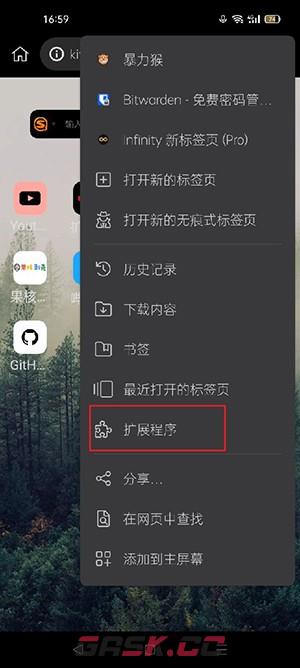 《kiwi浏览器》添加扩展程序方法-第3张-手游攻略-GASK