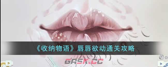 《收纳物语》唇唇欲动通关攻略-第1张-手游攻略-GASK