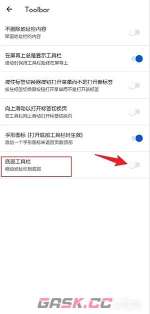 《kiwi浏览器》底部显示工具栏设置方法-第5张-手游攻略-GASK