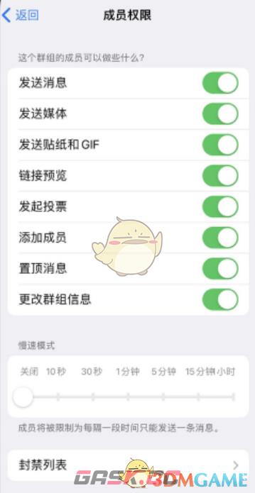 《telegram》慢速模式关闭方法-第4张-手游攻略-GASK