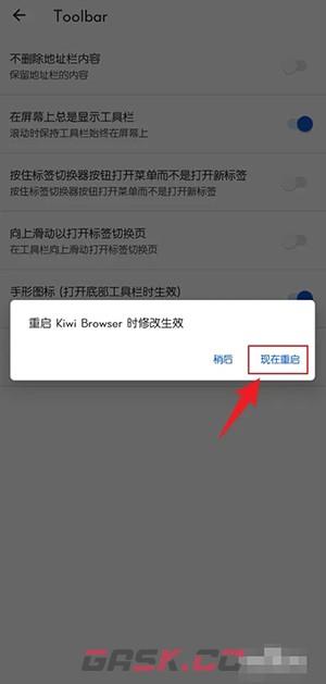 《kiwi浏览器》底部显示工具栏设置方法-第6张-手游攻略-GASK