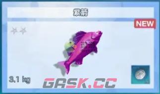 星火之歌庇护所海边钓鱼游戏攻略-第5张-手游攻略-GASK