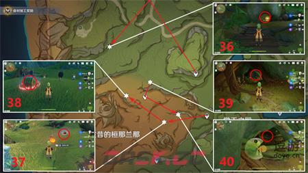 原神须弥雨林奇馈宝箱全收集指南-第9张-手游攻略-GASK