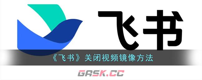 《飞书》关闭视频镜像方法-第1张-手游攻略-GASK