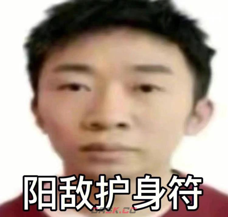 阳敌护体表情包大全-第3张-手游攻略-GASK