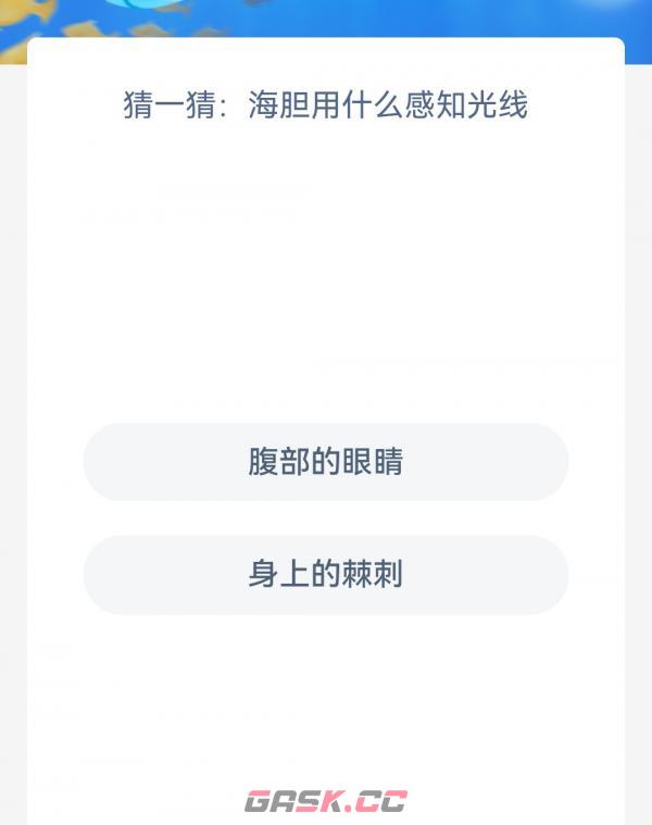 猜一猜海胆用什么感知光线-第2张-手游攻略-GASK