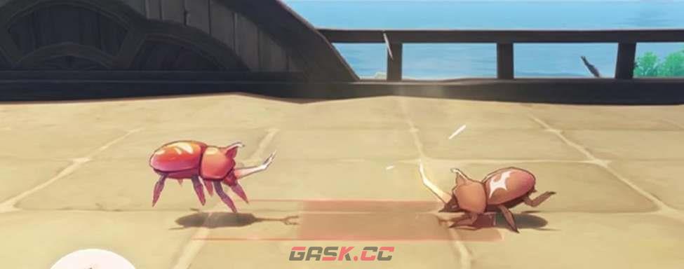 《原神》3.4斗虫活动玩法攻略-第2张-手游攻略-GASK