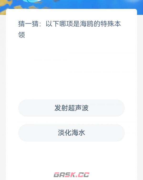 猜一猜以下哪项是海鸥的特殊本领-第2张-手游攻略-GASK