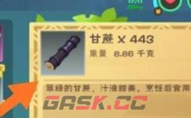 《创造与魔法》椰子汁制作方法-第3张-手游攻略-GASK