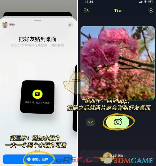 《贴贴》添加好友上限介绍-第3张-手游攻略-GASK