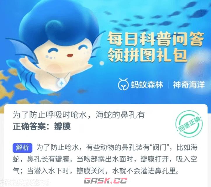 为了防止呼吸时呛水海蛇的鼻孔有-第2张-手游攻略-GASK