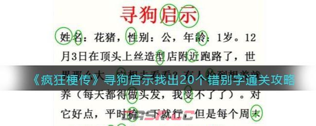 《疯狂梗传》寻狗启示​找出20个错别字​通关攻略-第1张-手游攻略-GASK