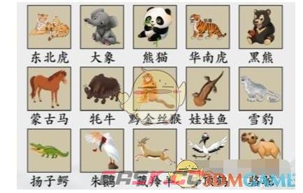 《疯狂梗传》找到各省的代表动物通关攻略-第2张-手游攻略-GASK