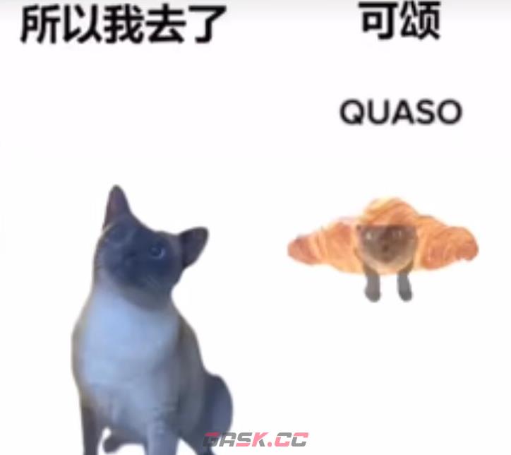 《抖音》可颂猫表情包大全分享-第5张-手游攻略-GASK