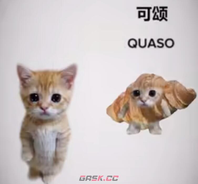 《抖音》可颂猫表情包大全分享-第8张-手游攻略-GASK