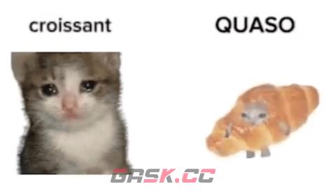《抖音》可颂猫表情包大全分享-第10张-手游攻略-GASK