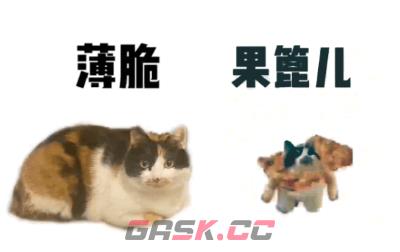 《抖音》可颂猫表情包大全分享-第14张-手游攻略-GASK