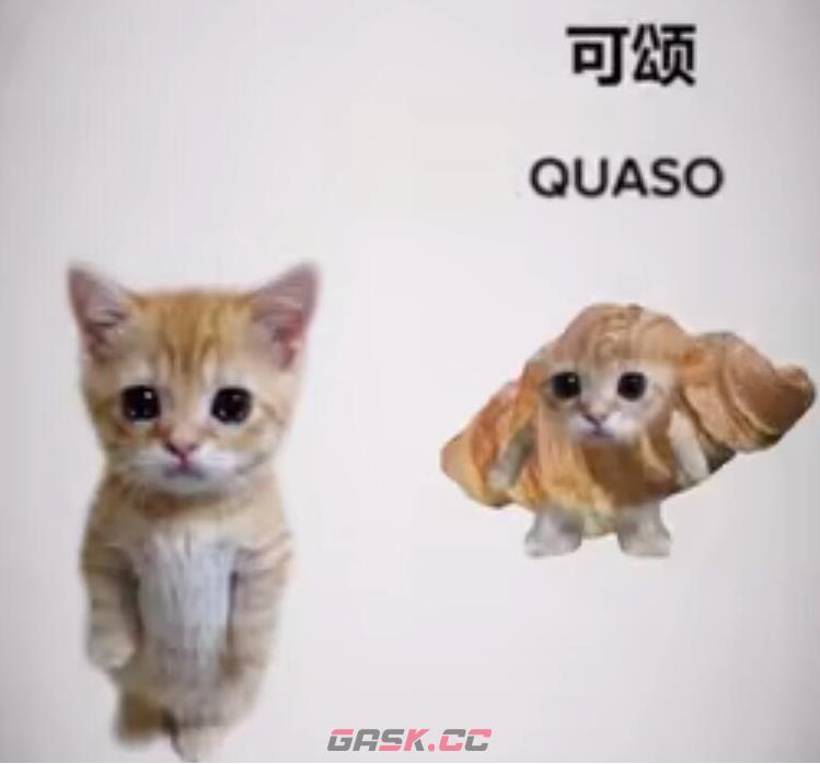 《抖音》可颂猫表情包大全分享-第2张-手游攻略-GASK