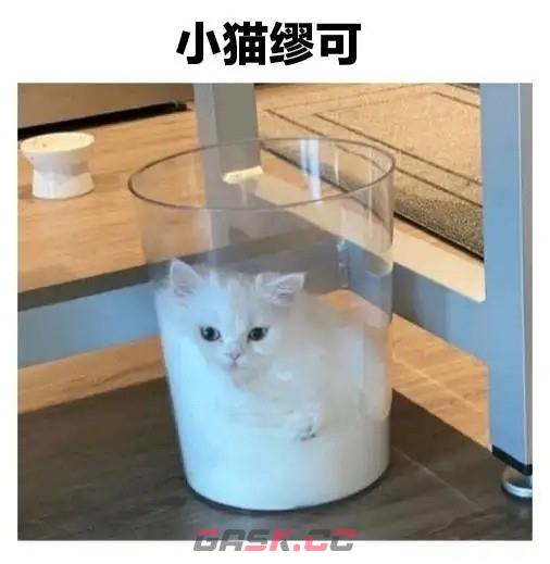 《抖音》可颂猫表情包大全分享-第17张-手游攻略-GASK