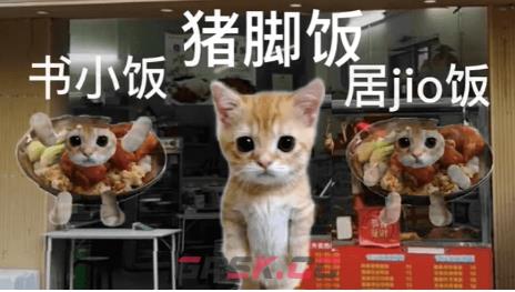 《抖音》可颂猫表情包大全分享-第12张-手游攻略-GASK