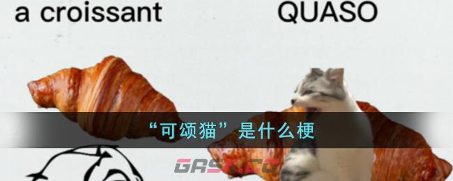 “可颂猫”是什么梗-第1张-手游攻略-GASK