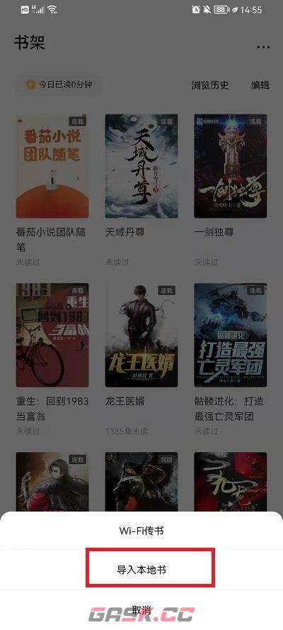 《番茄小说》导入图书方法-第4张-手游攻略-GASK