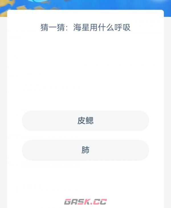 猜一猜海星用什么呼吸-第2张-手游攻略-GASK