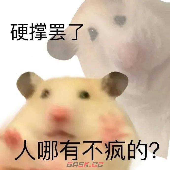 鼠鼠我呀表情包大全-第7张-手游攻略-GASK