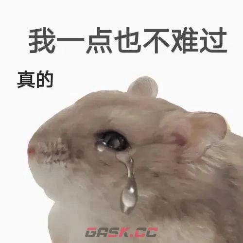 鼠鼠我呀表情包大全-第6张-手游攻略-GASK