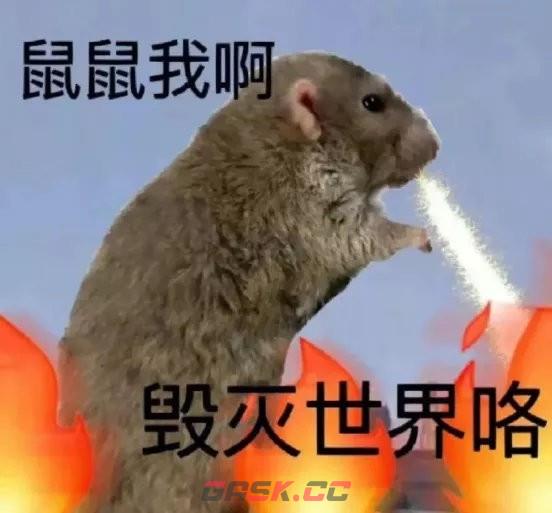 鼠鼠我呀是什么意思梗-第3张-手游攻略-GASK