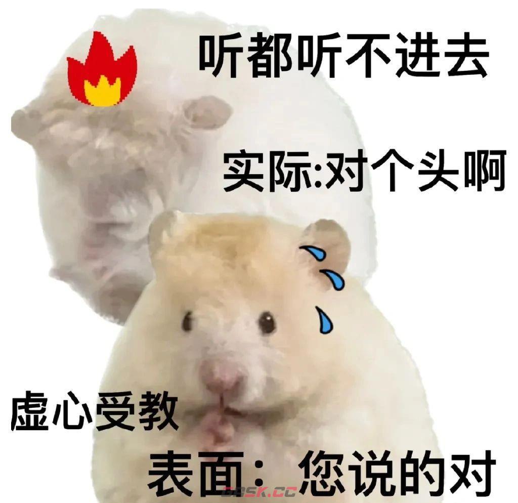 鼠鼠我呀表情包大全-第11张-手游攻略-GASK