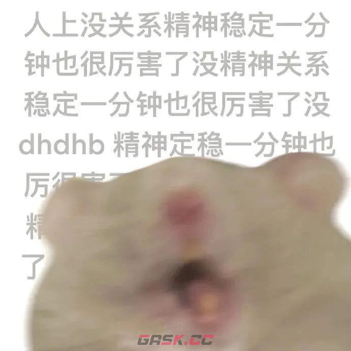 鼠鼠我呀表情包大全-第10张-手游攻略-GASK