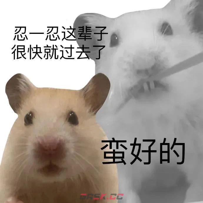 鼠鼠我呀表情包大全-第9张-手游攻略-GASK