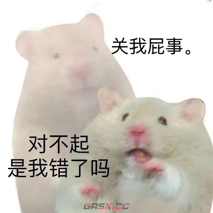 鼠鼠我呀表情包大全-第8张-手游攻略-GASK