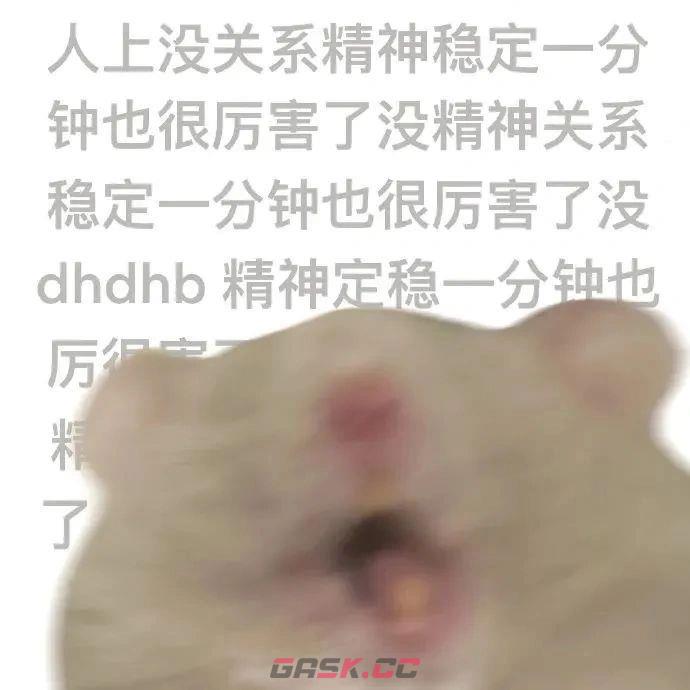 鼠鼠我呀表情包大全-第13张-手游攻略-GASK