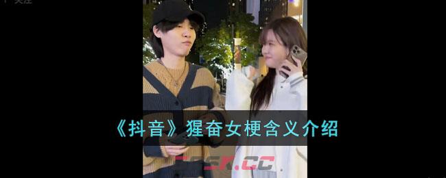 抖音各种梗大全(2017年的梗)-第1张-手游攻略-GASK