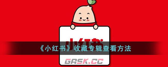 《小红书》收藏专辑查看方法是什么(小红书收藏专辑怎么看)-第1张-手游攻略-GASK