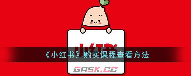 小红书课程表(小红书的课程)-第1张-手游攻略-GASK