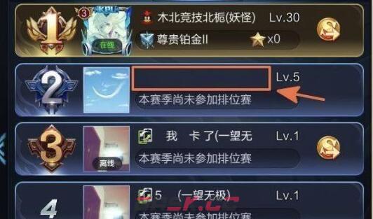 《王者荣耀》最新空白名字代码分享2023-第2张-手游攻略-GASK