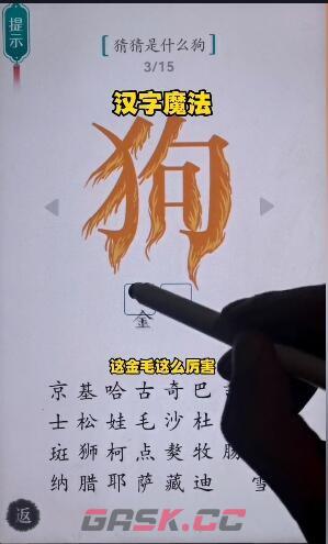 《汉字魔法》猜猜是什么狗通关攻略-第4张-手游攻略-GASK