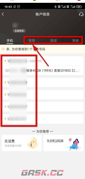 《中国电信》查询账户信息方法-第3张-手游攻略-GASK