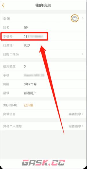 《中国电信》查询自己的手机号码方法-第2张-手游攻略-GASK