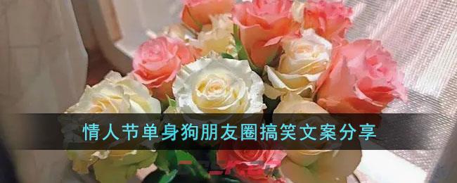 情人节单身狗朋友圈搞笑文案分享-第1张-手游攻略-GASK