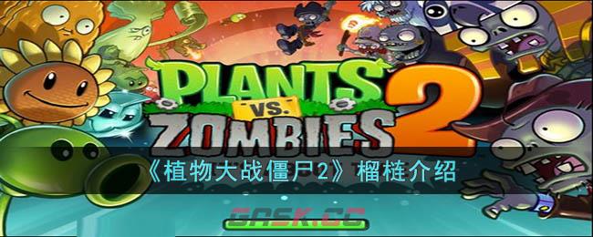 《植物大战僵尸2》榴梿介绍-第1张-手游攻略-GASK