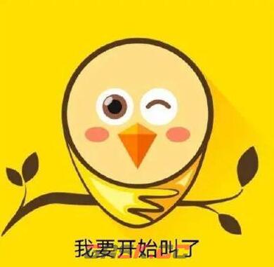 不孤鸟表情包大全分享-第5张-手游攻略-GASK
