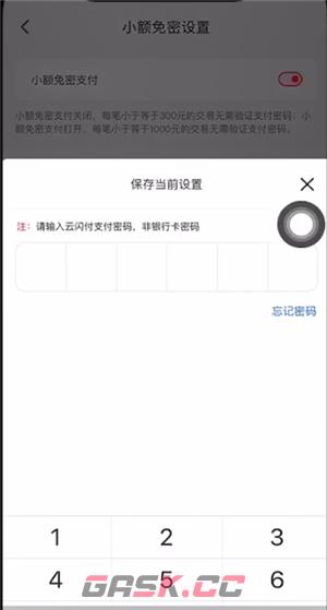 《云闪付》免密支付额度设置方法-第4张-手游攻略-GASK