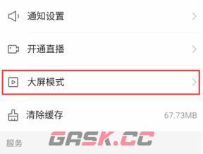 《快手极速版》大屏模式设置方法-第4张-手游攻略-GASK