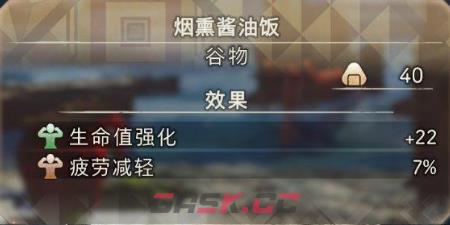 《狂野之心》全食物料理效果一览-第6张-单机攻略-GASK