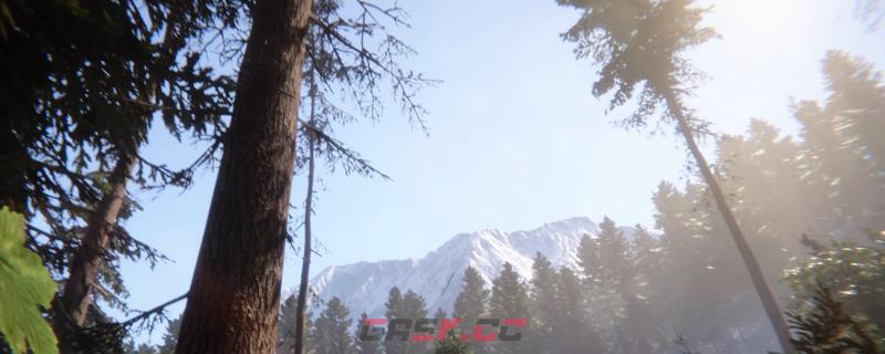 森林之子NPCZZZ有什么特点-第1张-单机攻略-GASK