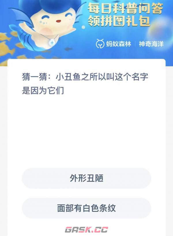小丑鱼之所以叫这个名字是因为它们-第2张-手游攻略-GASK